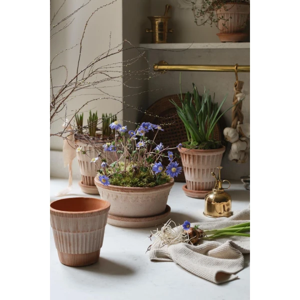 Bergs Potter – Pantheon raw pot + saucer – rosa - Afbeelding 4