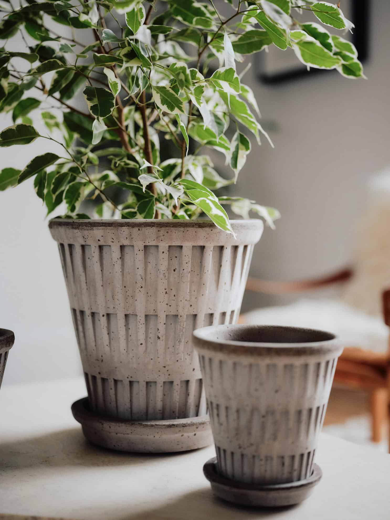 Bergs Potter – Pantheon raw pot + saucer – grey - Afbeelding 5