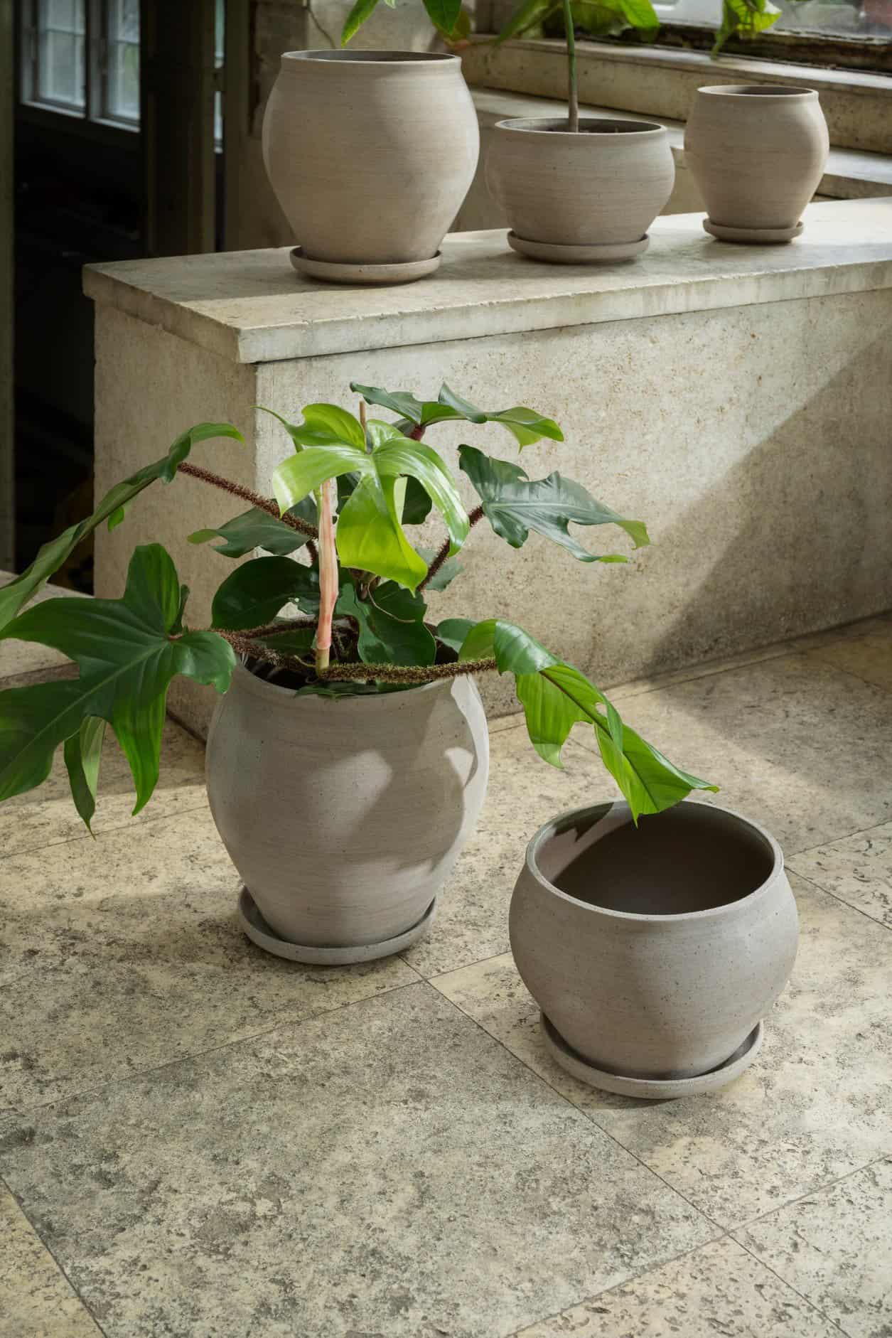 Bergs Potter – Delphi raw pot + saucer – grey - Afbeelding 2