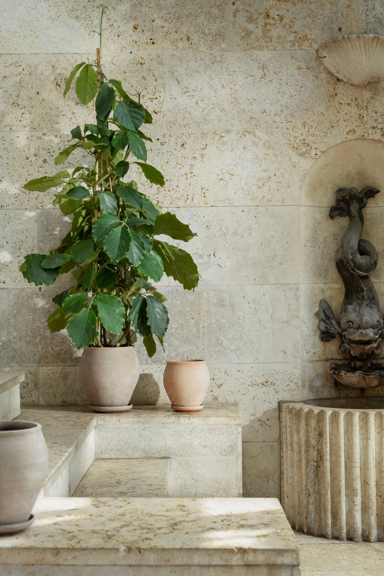 Bergs Potter – Delphi raw pot + saucer – rosa - Afbeelding 4