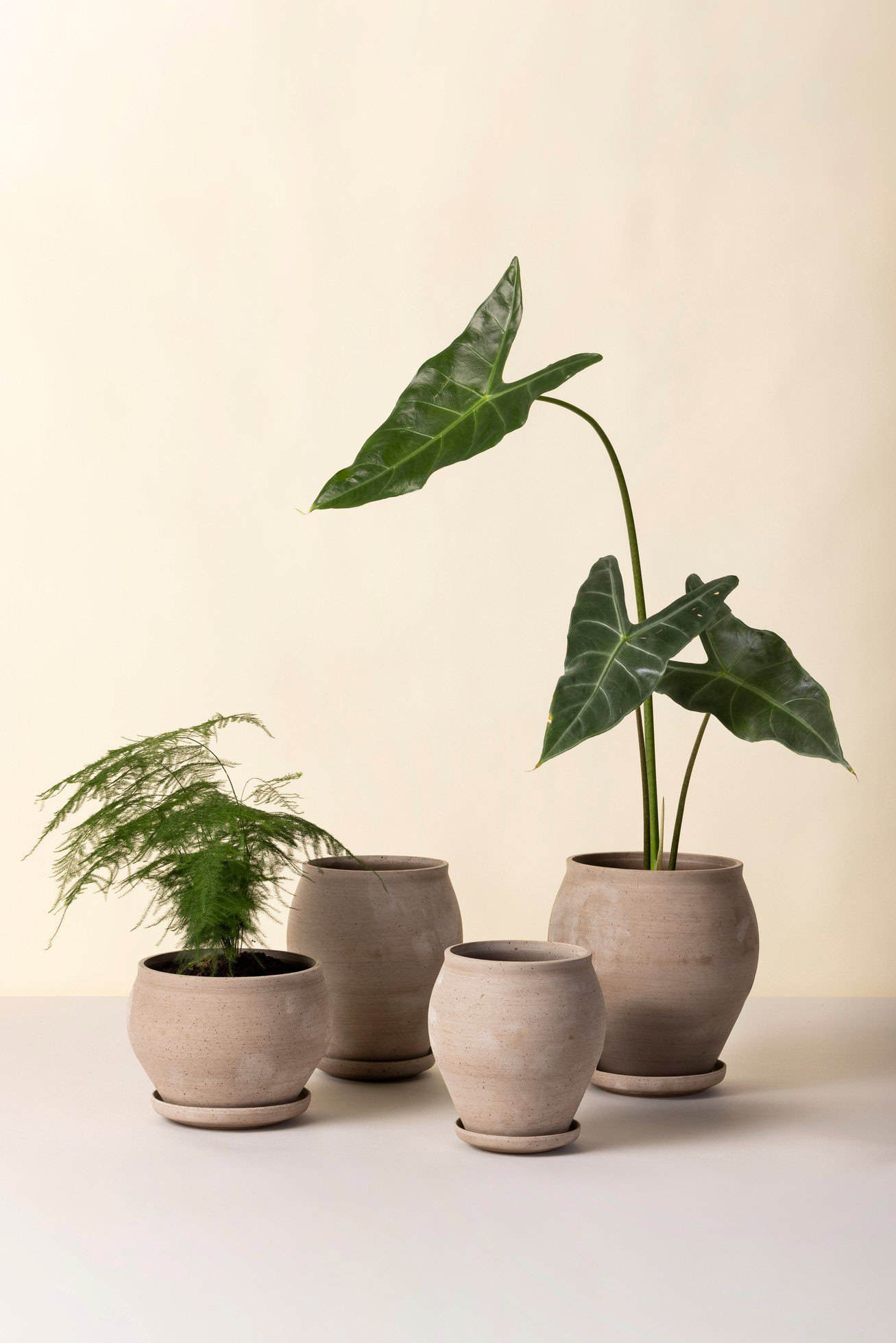 Bergs Potter – Delphi raw pot + saucer – grey - Afbeelding 3