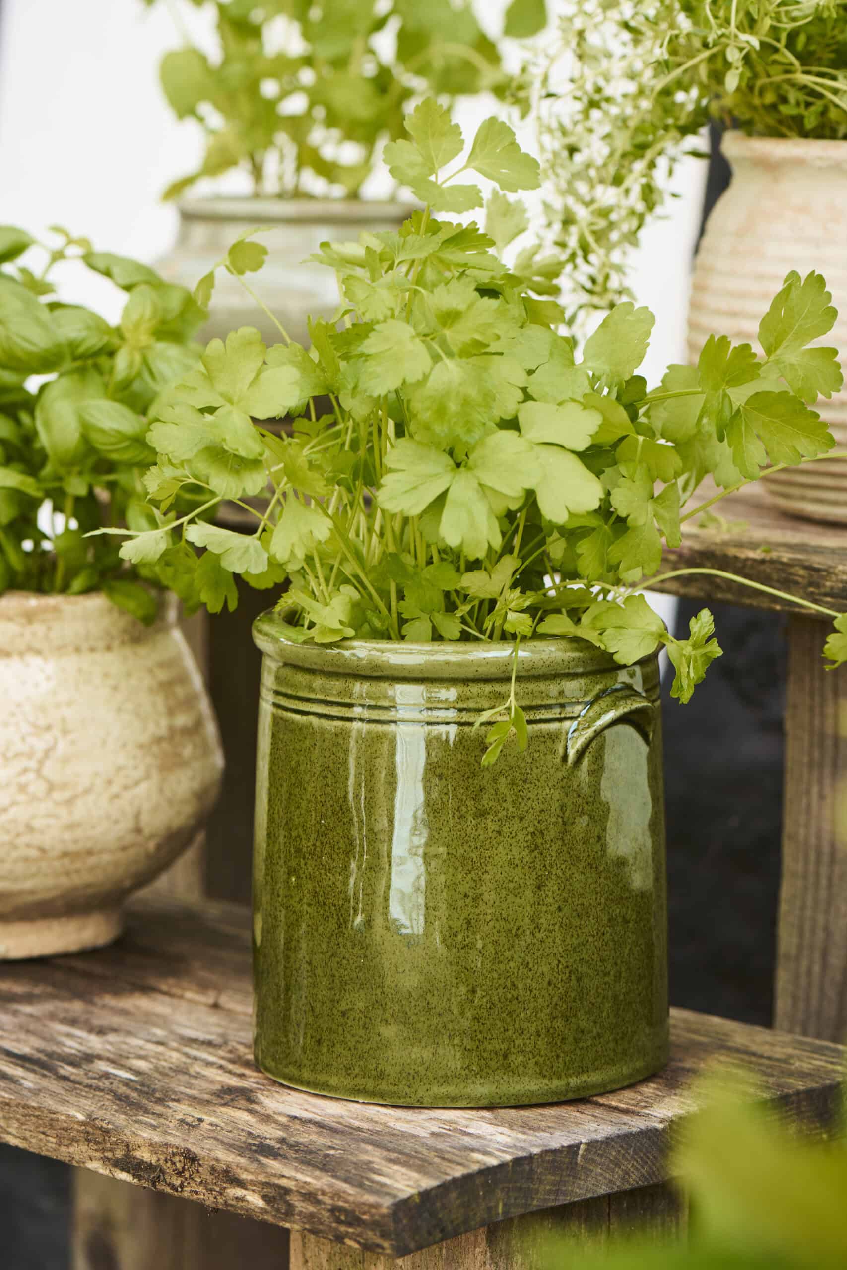 IB Laursen – Bloempot Distressed, moss green - Afbeelding 2